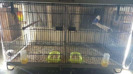 cages
