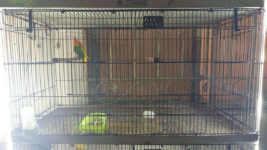 cages 1