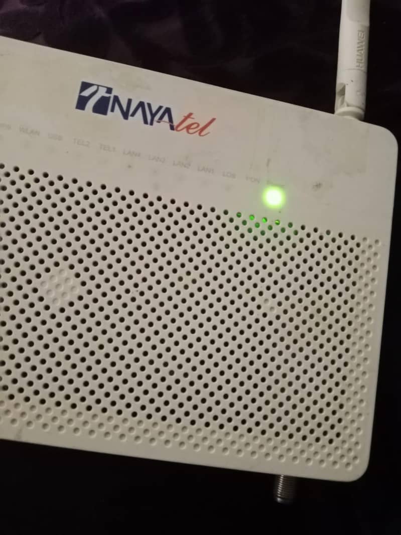 Nayatal device 1