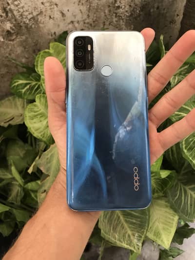 Oppo a53