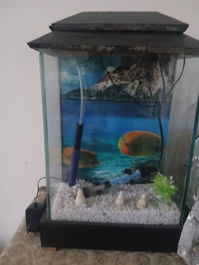 Aquriam