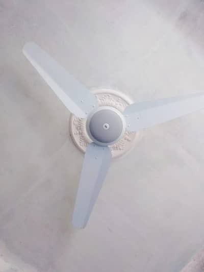 SK Ceiling fans