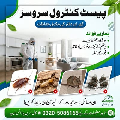 Termite treatment Control,pest control services, fumigation spray
