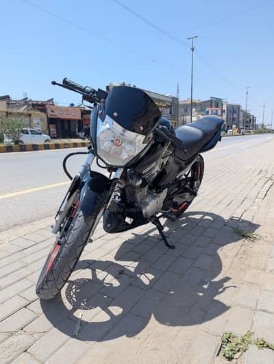 yamaha ybr 125  special number