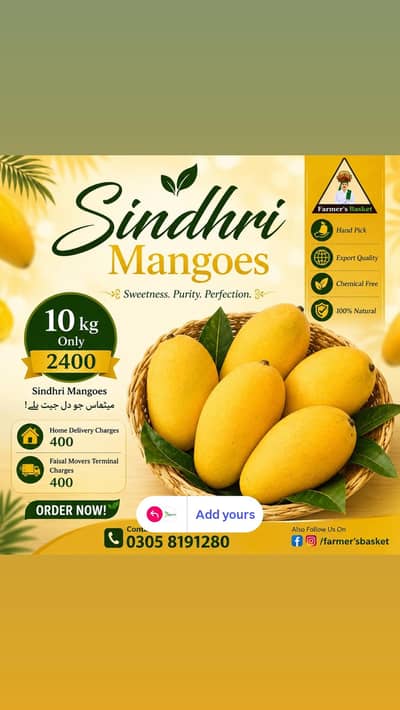 Malana Mango 