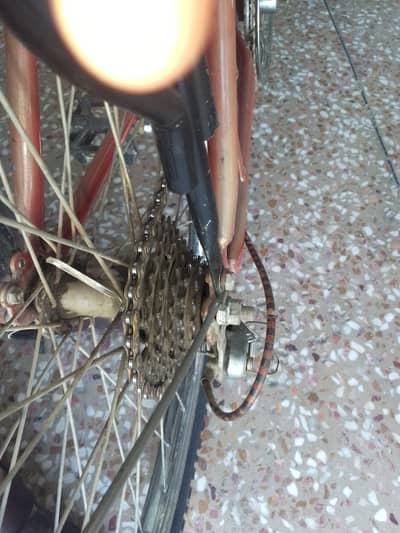 Cycle