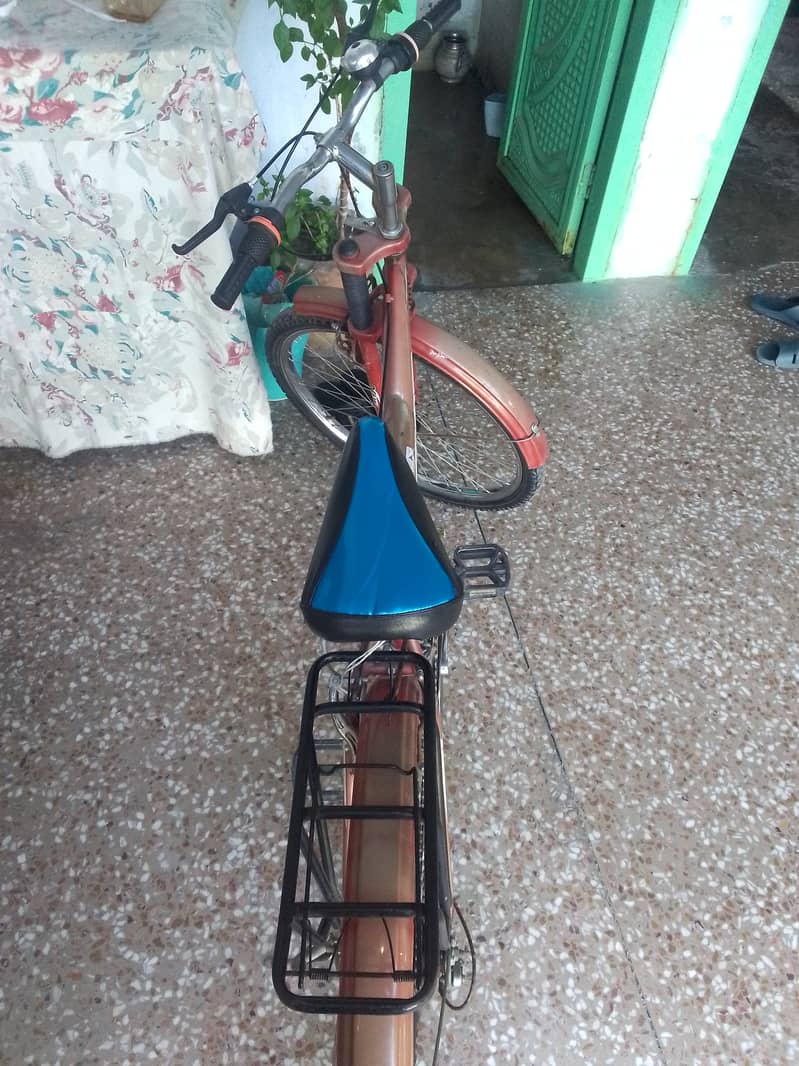 Cycle 1
