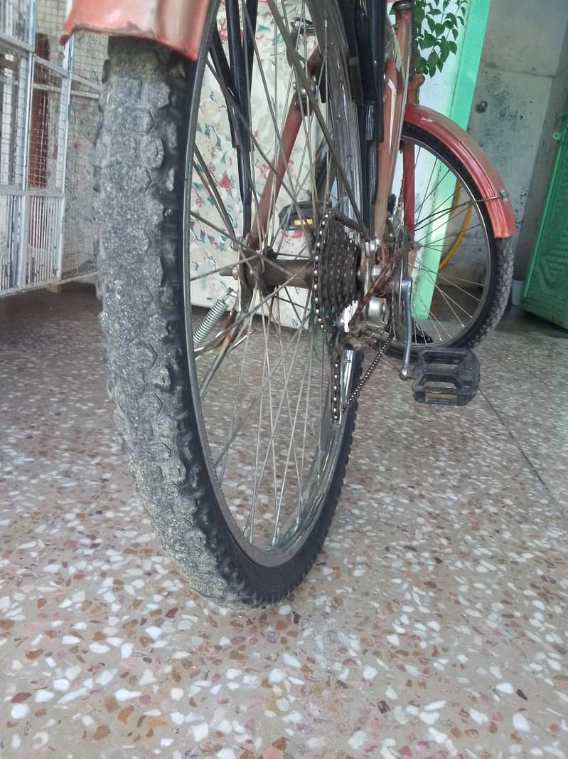 Cycle 4