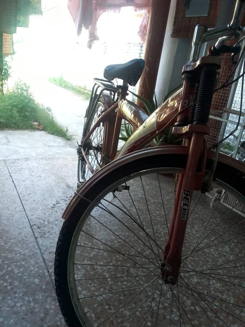 Cycle 5