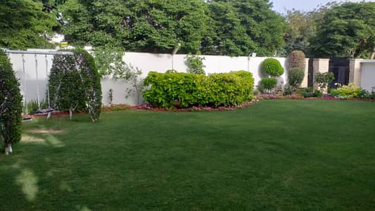 Beautiful Bungalow For Rent