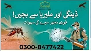 Termite Treatment & Bedbugs Control Services with Written Guarantee