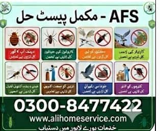 termites, which will be sent to your realtor as part of your real est