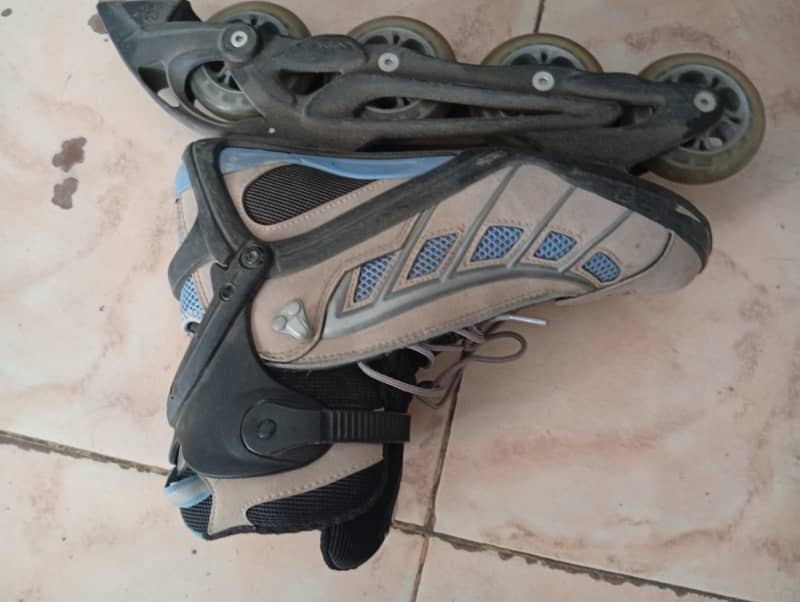 skates 1