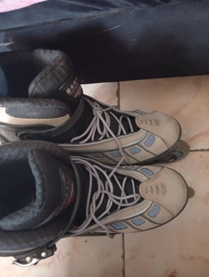 skates 3