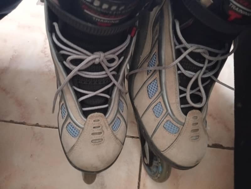 skates 5