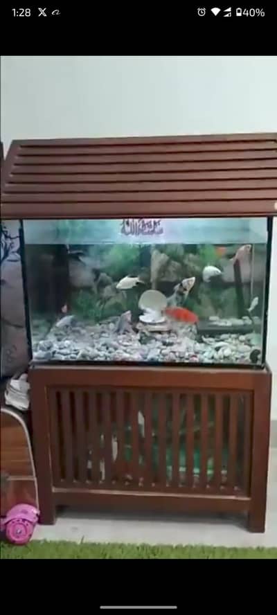large aquarium with wooden frame