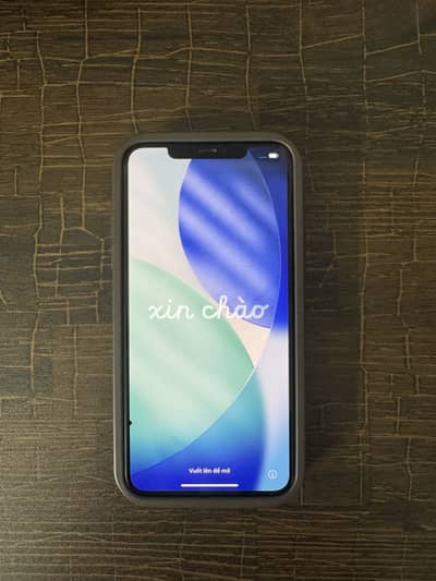 Apple iPhone 11 Pro Max