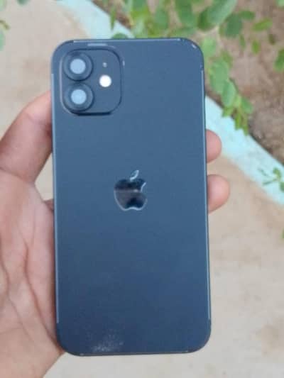 Apple iPhone 12