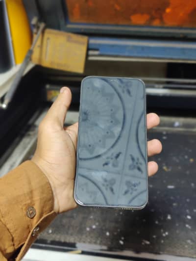Apple iPhone 12 Pro Max