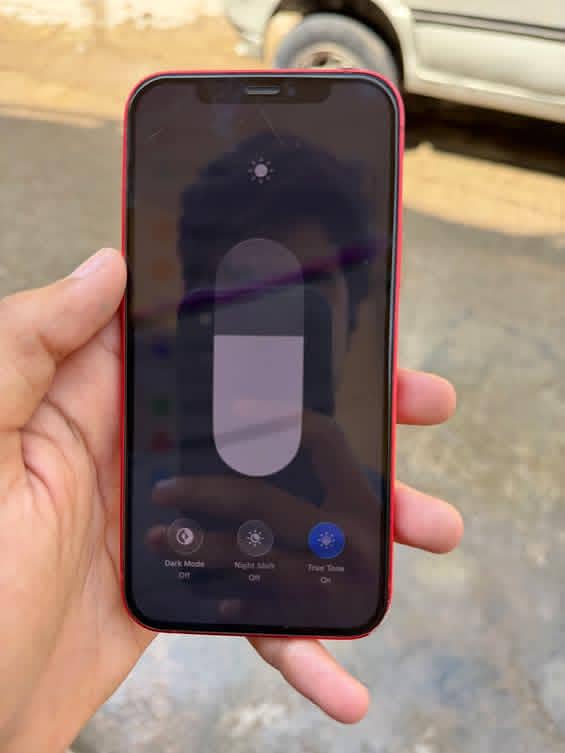 Apple iPhone 12 1