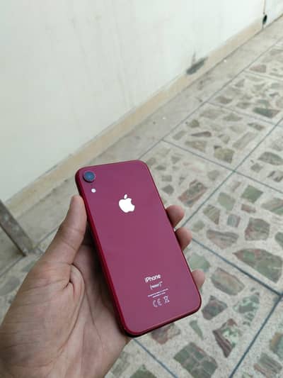 Apple iPhone XR bypass only shade exchange possible