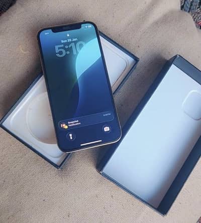 Apple iPhone 12 Pro