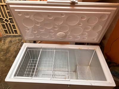 Burger Shop All Items like Counter Deep Freezer & Deep Fryer 32 litter