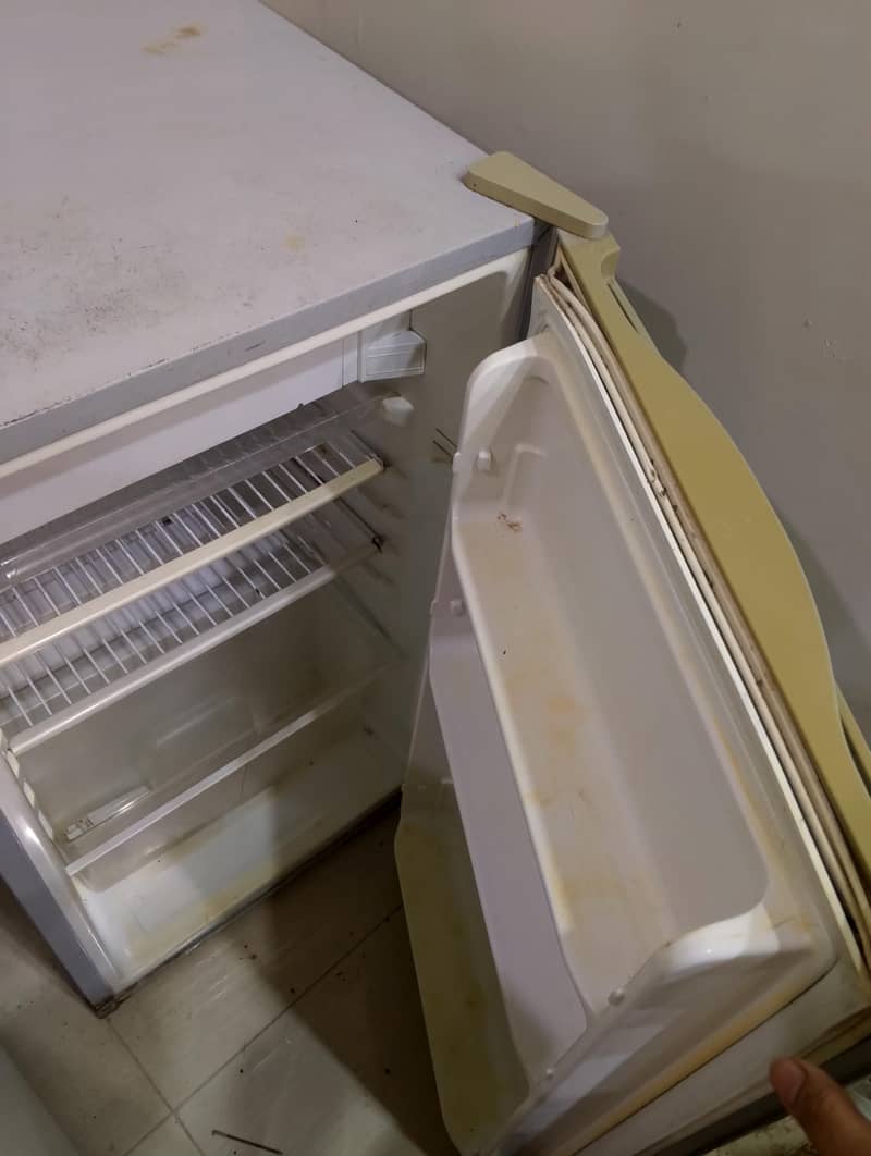 fridge 6