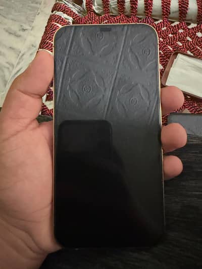 Apple iPhone 12 Pro Max