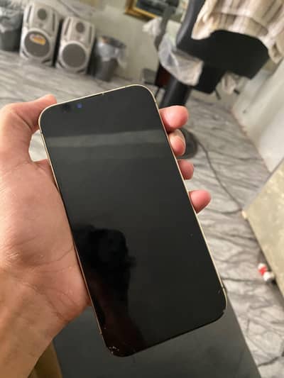 Apple iPhone 13 Pro