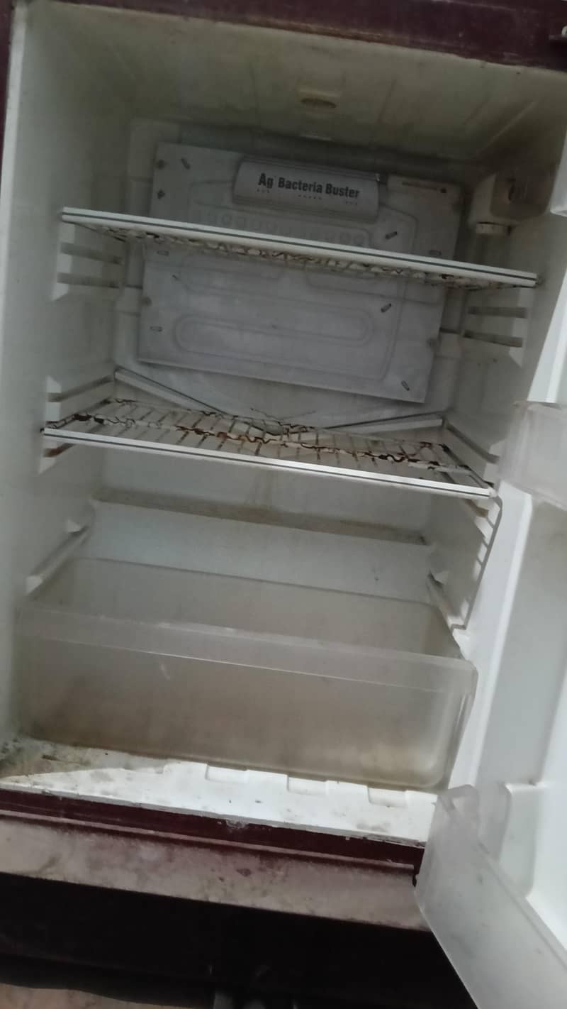 PELL refrigerators 4