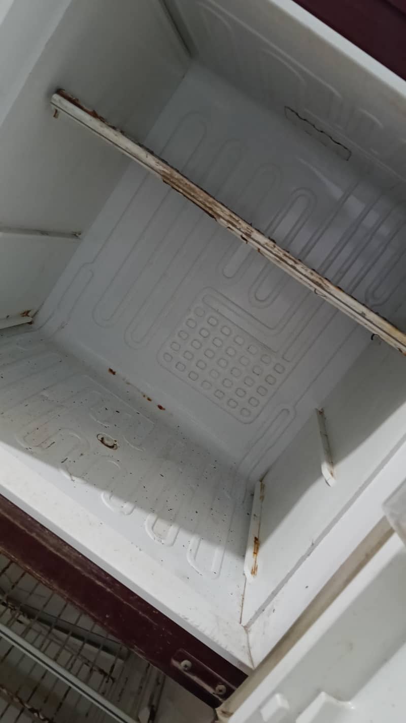 PELL refrigerators 5