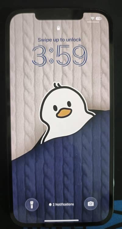 Apple iPhone 12 Pro Max