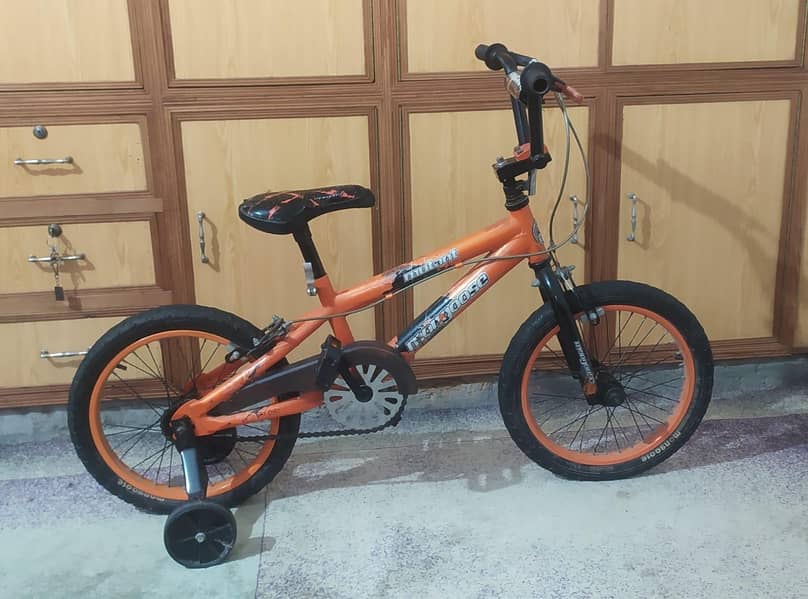 bicycle 0