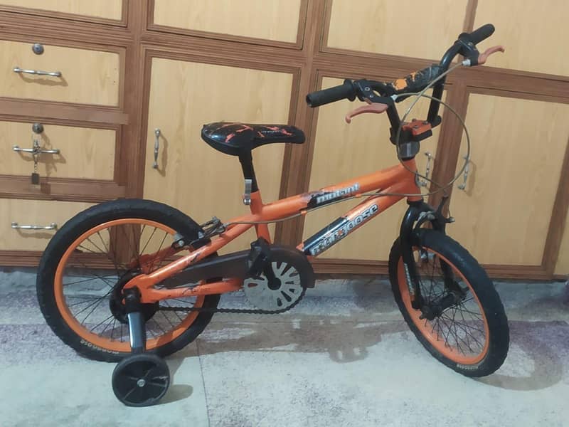 bicycle 1