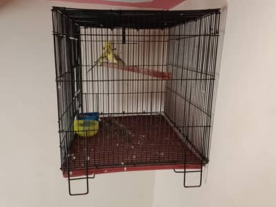 cage for sale