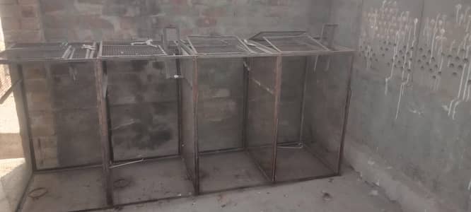 Pegion cage