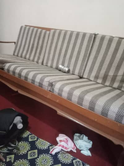 only sofa with cusion
