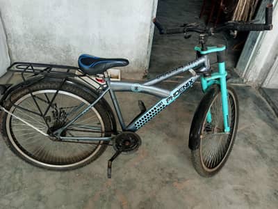 Gear cycle with disc brakes
