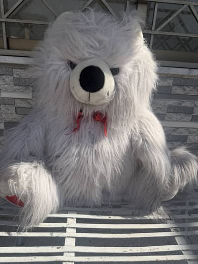 Teddy bear