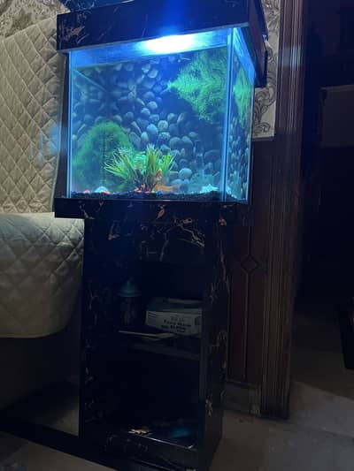 Fish aquarium