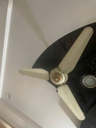 Lahore Fan (Copper) for sale
