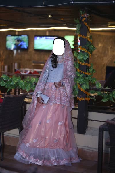 Engagement dress, Maria B