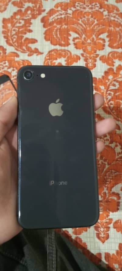 iphone 11 or xr convert need