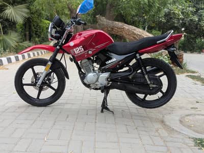 YAMAHA YBR G 03313939676