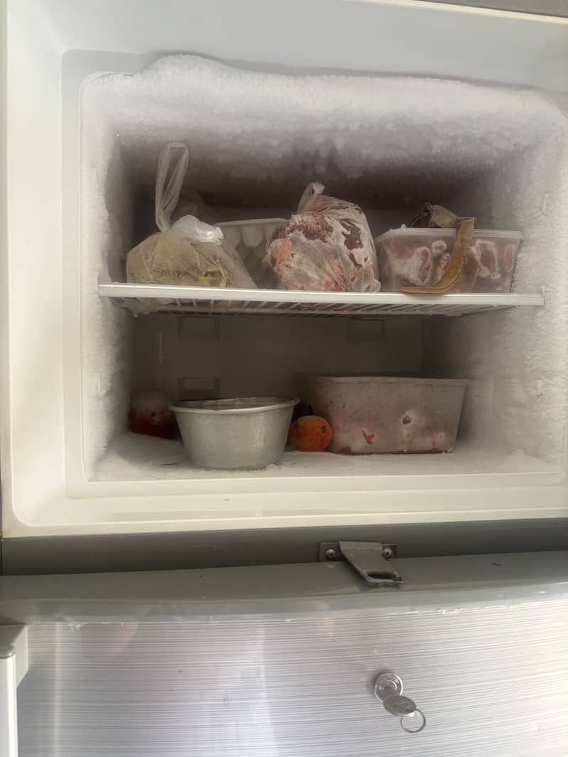 Fridge 2