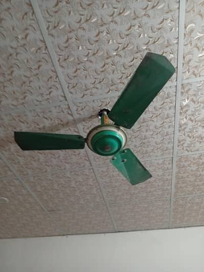 gfc small fan