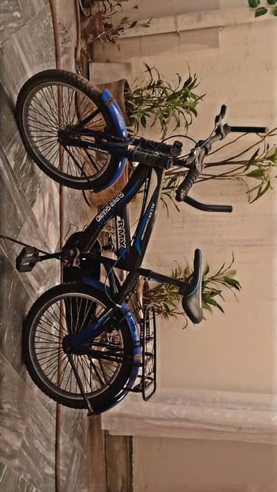 BMX bicycle