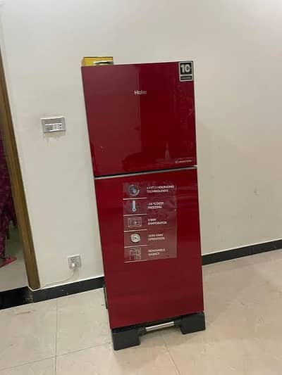 Haier 276 Glass Door Fridge