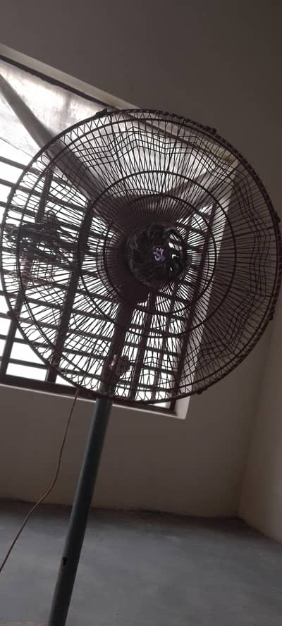Pedistal fan
